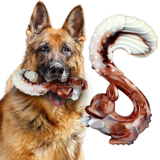 Chien mâchant un jouet indestructible en forme d’écureuil pour gros chien