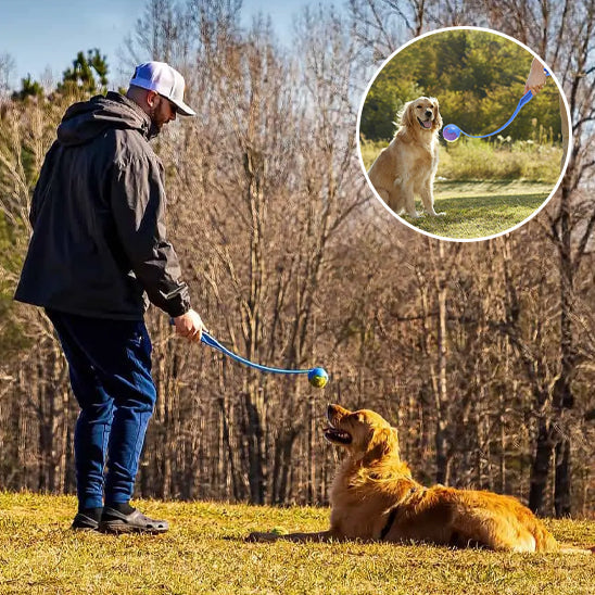 Jeu de lancer de balle pendant une balade avec un chien