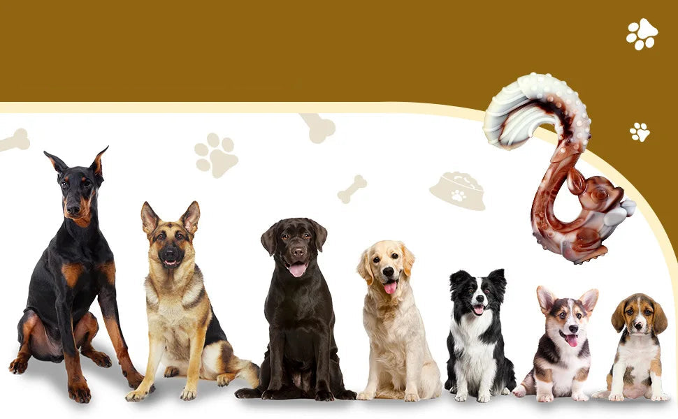Jouet en forme d’écureuil pour chien avec goût boeuf et picots dentaires