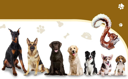 Jouet en forme d’écureuil pour chien avec goût boeuf et picots dentaires