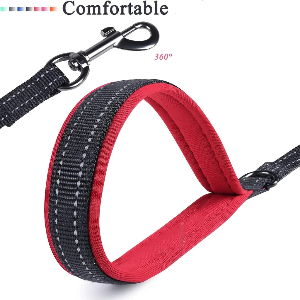 Laisse Double Poignée pour Chien | Contrôle & Confort | Plusieurs Couleurs - Noble Truffe