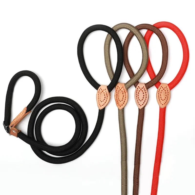 Laisse Lasso pour Chien - En Corde de Nylon, Coulissante et Ajustable - Noble Truffe