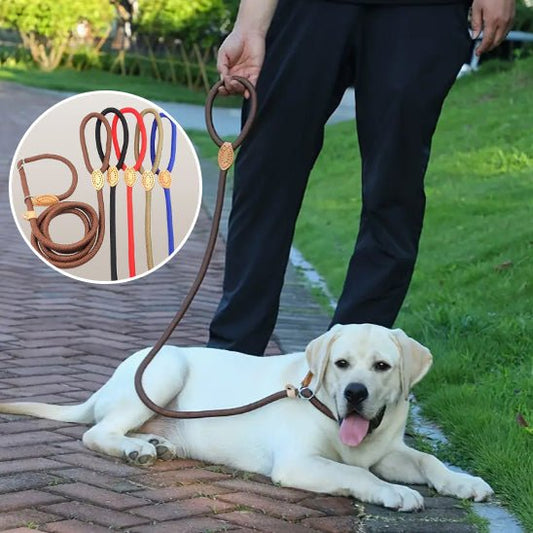 Laisse Lasso pour Chien - En Corde de Nylon, Coulissante et Ajustable - Noble Truffe