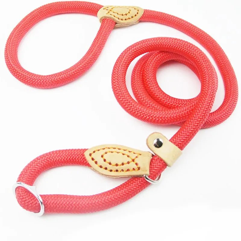 Laisse Lasso pour Chien - En Corde de Nylon, Coulissante et Ajustable - Noble Truffe