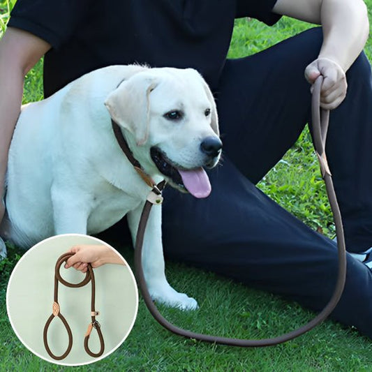 Laisse Lasso pour Chien - En Corde de Nylon, Coulissante et Ajustable - Noble Truffe