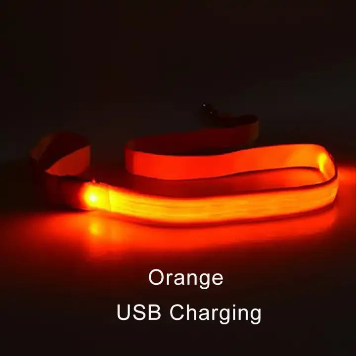laisse lumineuse rechargeable pour chien, éclairage orange par LED
