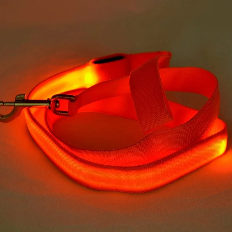Laisse chien lumineuse rouge - laisse lumineuse les pour chien - Petit et grand chien