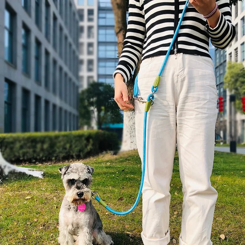 Laisse Mains Libres Réfléchissante – Promenade ou Course avec Chien | Noble Truffe - Noble Truffe