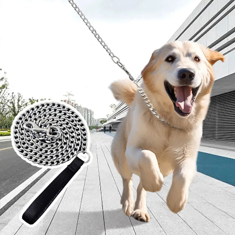 Mise en situation de la laisse métallique pour chien avec un golden retriever en mouvement sur une promenade urbaine.
