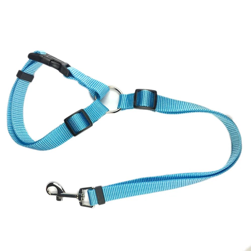 Laisse pour chien + Ceinture de Sécurité – Réglable & Réfléchissant - Noble Truffe
