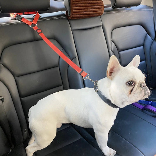 Laisse pour chien + Ceinture de Sécurité – Réglable & Réfléchissant - Noble Truffe