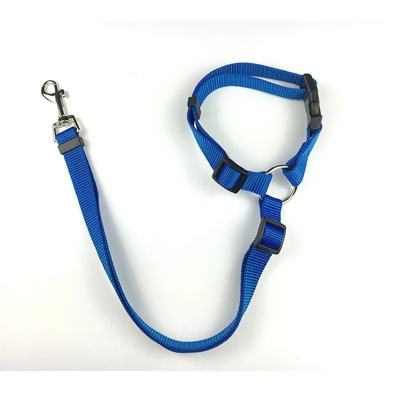 Laisse pour chien + Ceinture de Sécurité – Réglable & Réfléchissant - Noble Truffe