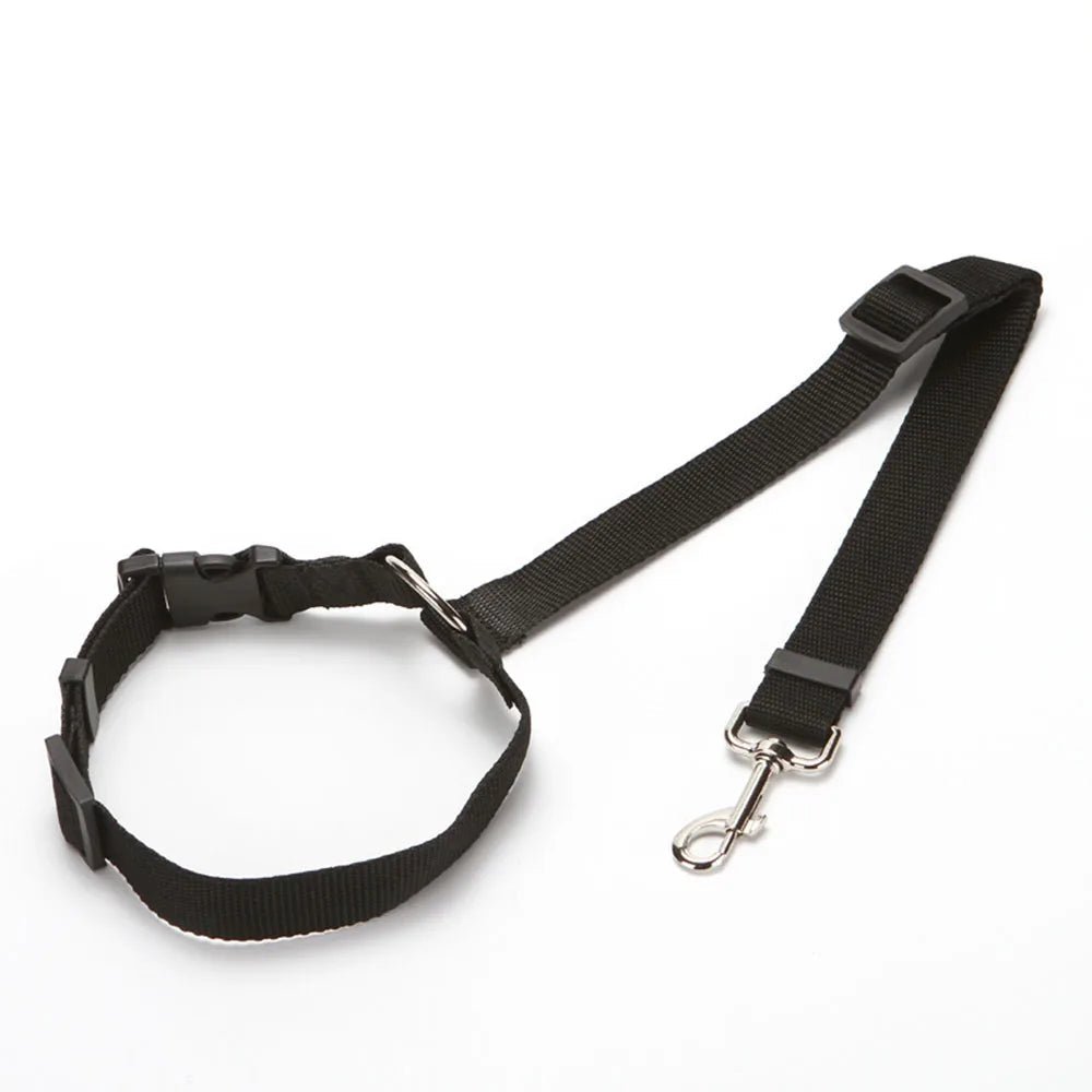 Laisse pour chien + Ceinture de Sécurité – Réglable & Réfléchissant - Noble Truffe