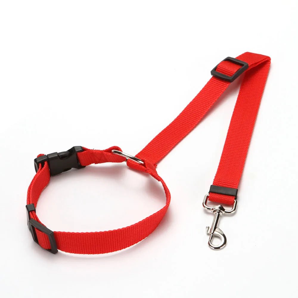 Laisse pour chien + Ceinture de Sécurité – Réglable & Réfléchissant - Noble Truffe
