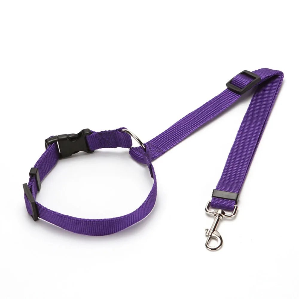Laisse pour chien + Ceinture de Sécurité – Réglable & Réfléchissant - Noble Truffe