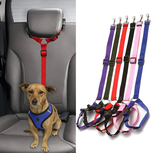 Laisse pour chien + Ceinture de Sécurité – Réglable & Réfléchissant - Noble Truffe
