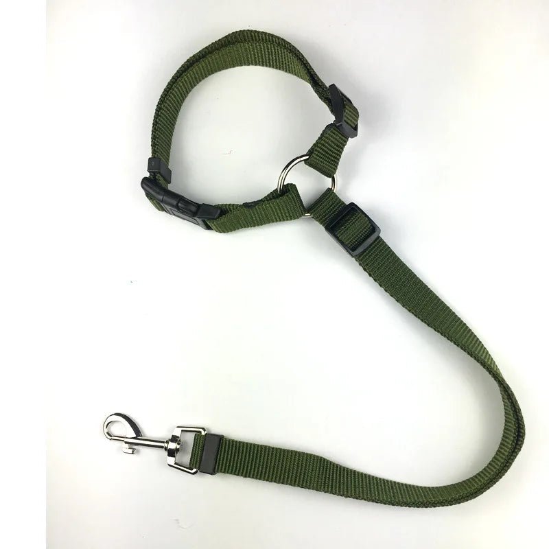 Laisse pour chien + Ceinture de Sécurité – Réglable & Réfléchissant - Noble Truffe