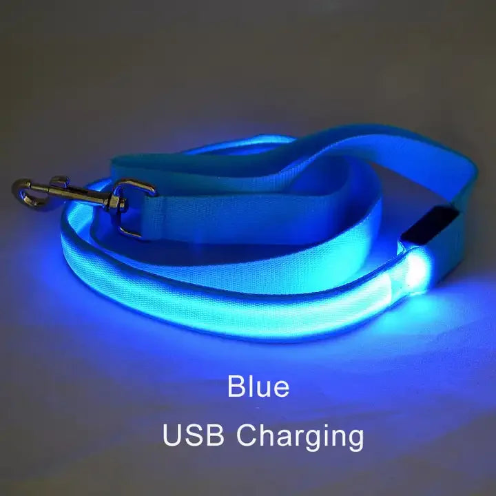 Laisse bleu pour chien - lumineuse par LED rechargeable en USB. Laisse lumineuse sécurité et visibilité.