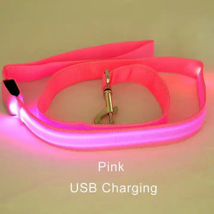 Laisse pour chien lumineuse rose, solide, pour petit chien et grand chien.