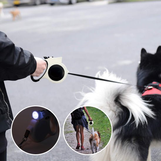 Laisse Rétractable pour Chien Lumineuse – 5 m, Promenade de Nuit - Noble Truffe