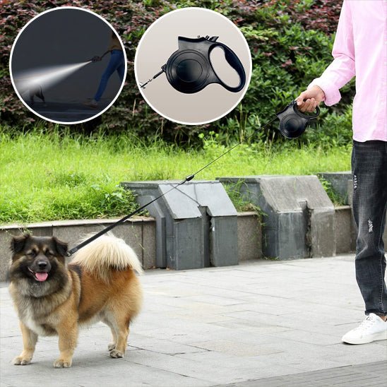 Laisse Rétractable pour Chien Lumineuse – 5 m, Promenade de Nuit - Noble Truffe