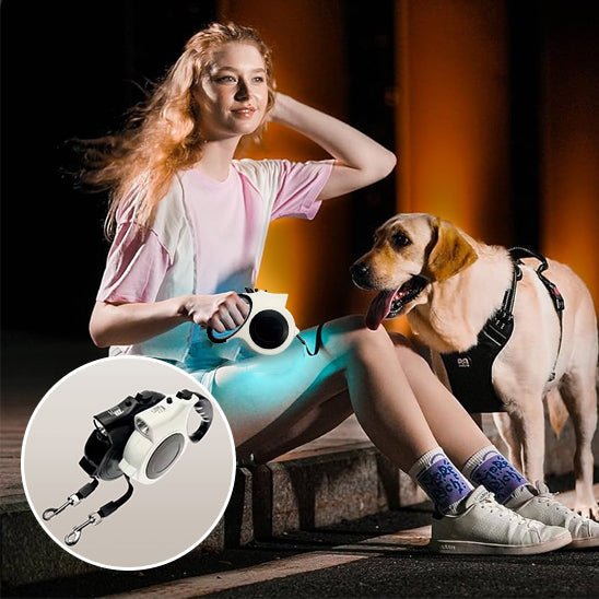 Laisse Rétractable pour Chien Lumineuse – 5 m, Promenade de Nuit - Noble Truffe