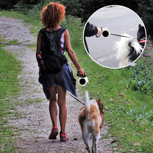 Laisse Rétractable pour Chien Lumineuse – 5 m, Promenade de Nuit - Noble Truffe