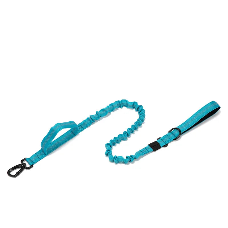 Laisse tactique anti traction bleu – idéale pour l’entraînement de chiens actifs.