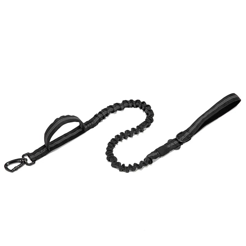 Laisse tactique anti traction noire – idéale pour l’entraînement de chiens actifs.