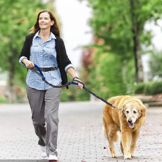 femme courant avec un chien tenu par une laisse canicross mains libres