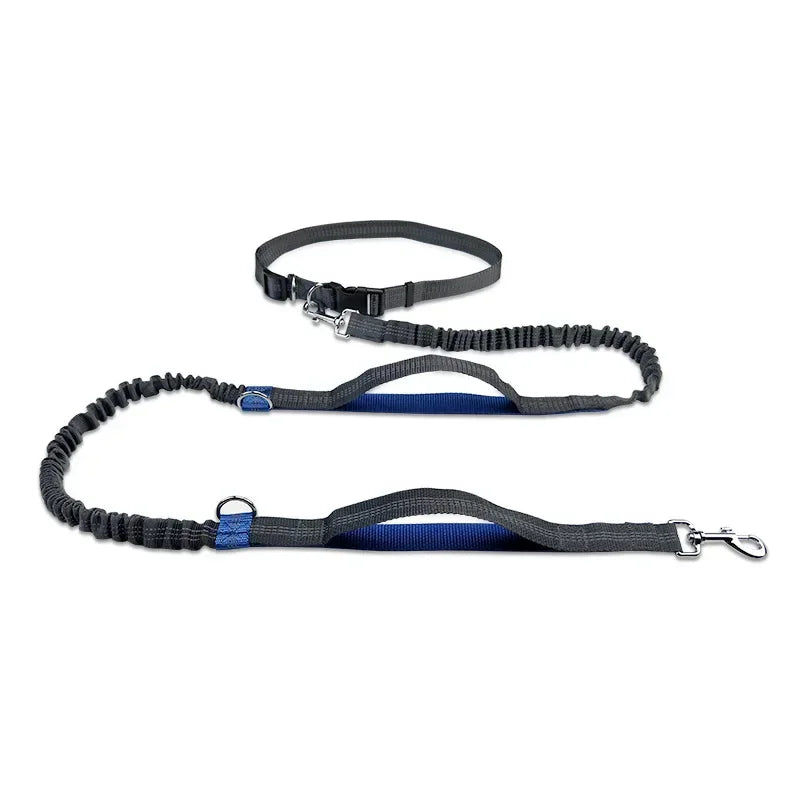 laisse canicross élastique noire avec poignée bleue réglable