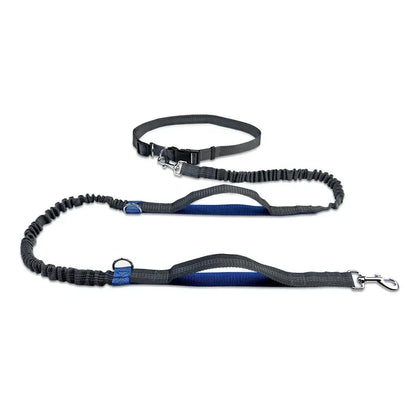 laisse canicross élastique noire avec poignée bleue réglable