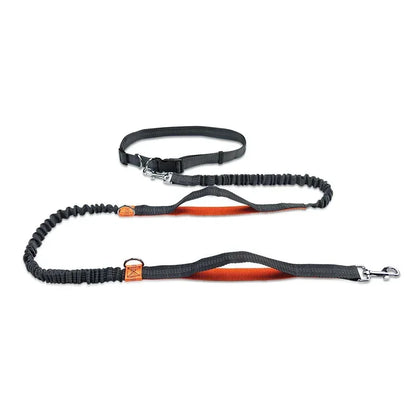laisse canicross élastique noire avec poignée orange