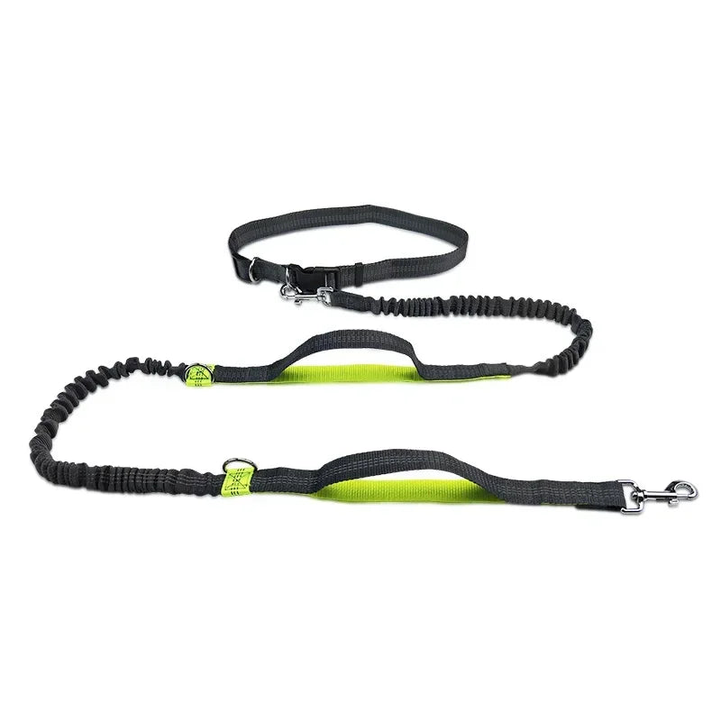 laisse canicross élastique noire avec poignée vert fluo pour visibilité nocturne