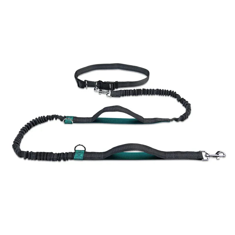 laisse canicross élastique noire avec poignée verte bleu réfléchissante
