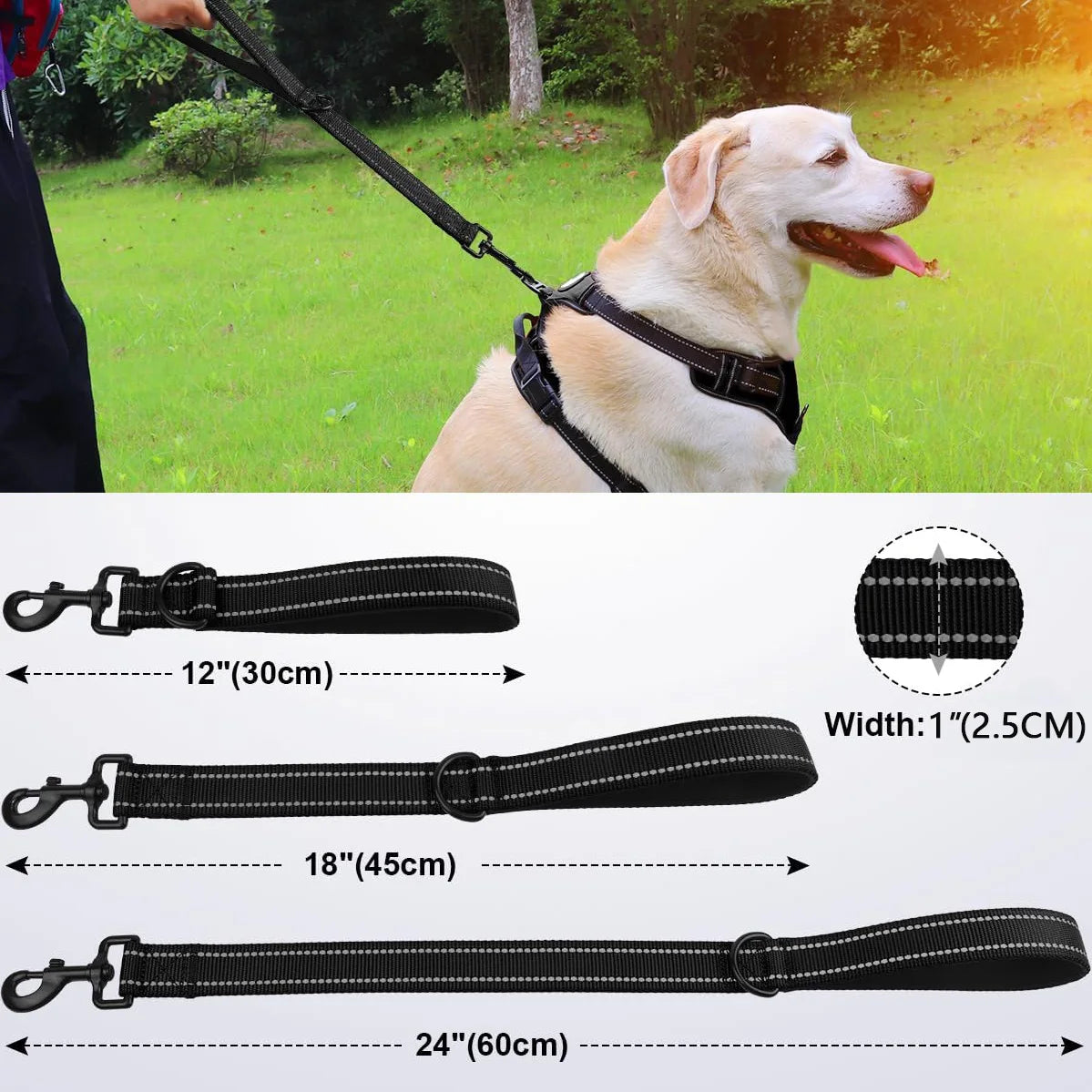 schéma présentant les tailles 30 cm, 45 cm et 60 cm des laisses courtes pour chien