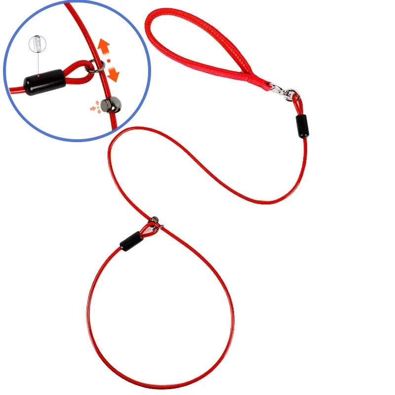 Laisse lasso pour chien disponible en rouge et bleu avec boucle coulissante