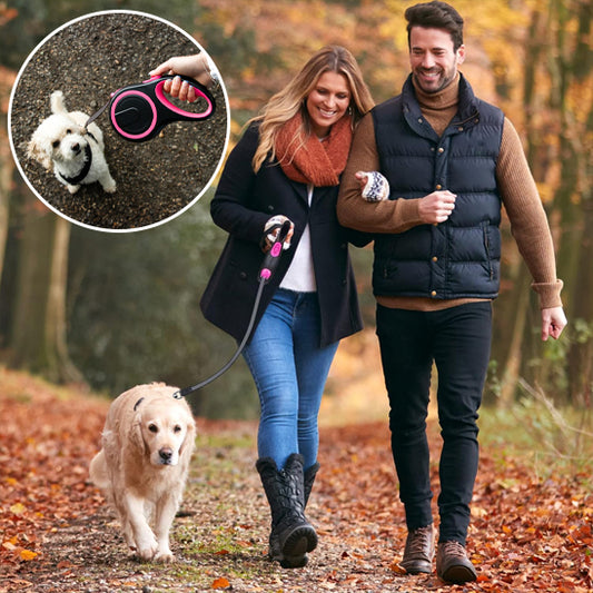 Couple en balade en forêt avec leurs chiens équipés d’une laisse enrouleur rétractable