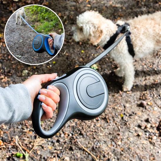 Laisse rétractable noire et grise pour chien en cours d’utilisation lors d’une promenade