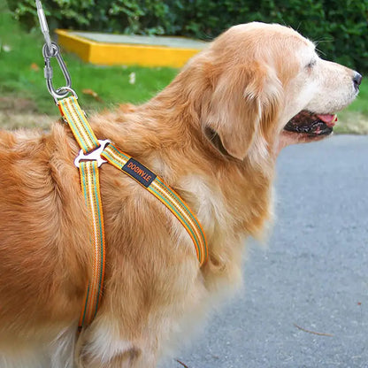 Golden retriever attaché à un arbre avec une laisse solide pour chien en câble