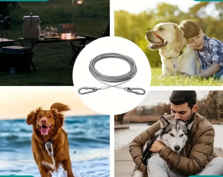 Plusieurs chiens attachés avec une laisse solide pour chien en extérieur