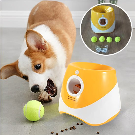 Lanceur de Balles Automatique pour Chien – Rechargeable, Intérieur/Extérieur - Noble Truffe