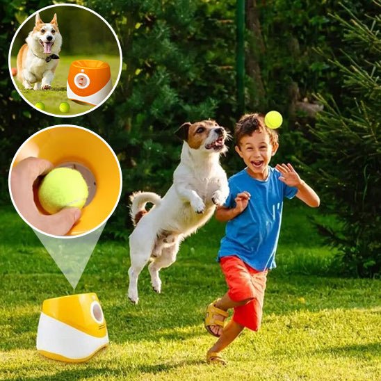 Lanceur de Balles Automatique pour Chien – Rechargeable, Intérieur/Extérieur - Noble Truffe