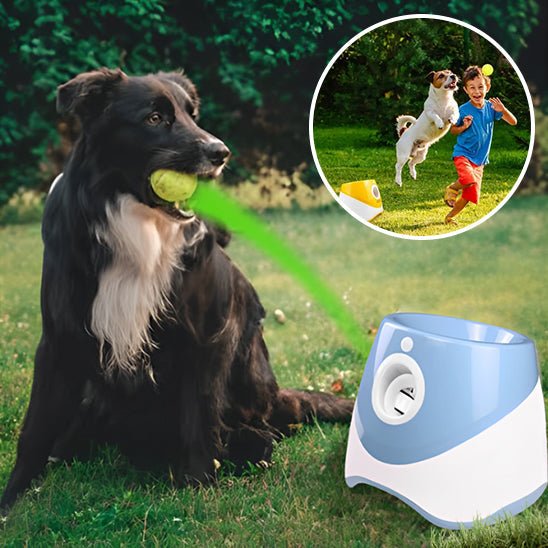 Lanceur de Balles Automatique pour Chien – Rechargeable, Intérieur/Extérieur - Noble Truffe