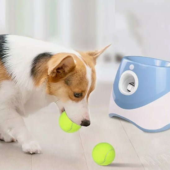 Lanceur de Balles Automatique pour Chien – Rechargeable, Intérieur/Extérieur - Noble Truffe
