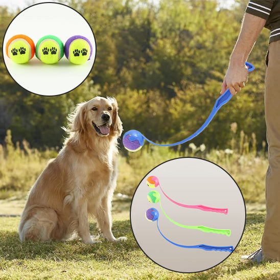 Lanceur de balle pour chien utilisé en extérieur avec un chien heureux