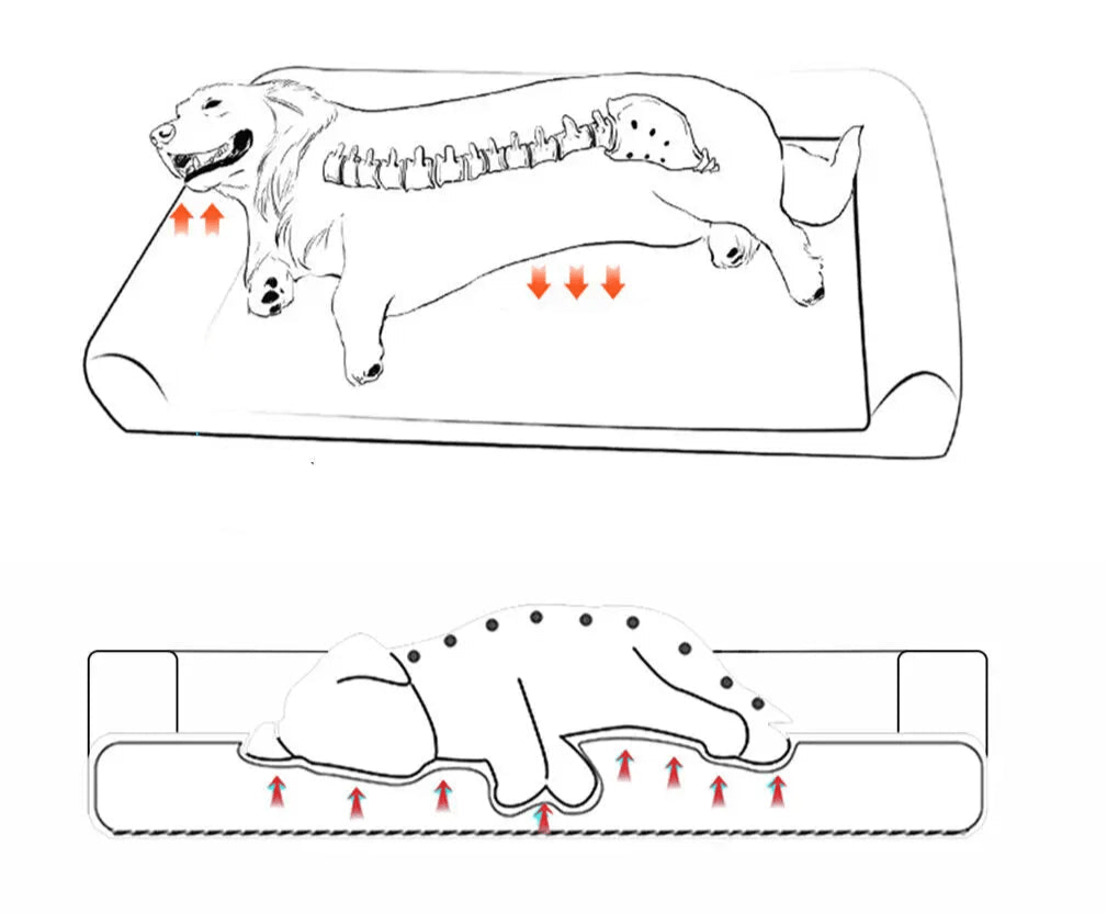 Lit Orthopédique pour chien XL – Mousse Épaisse & Bords Rembourrés - Noble Truffe