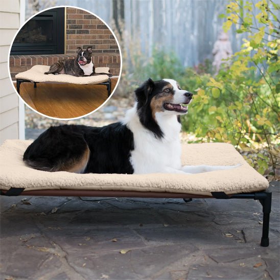 Lit Surélevé & Pliable – pour Chien | Respirant, Lavable, Nomade - Noble Truffe