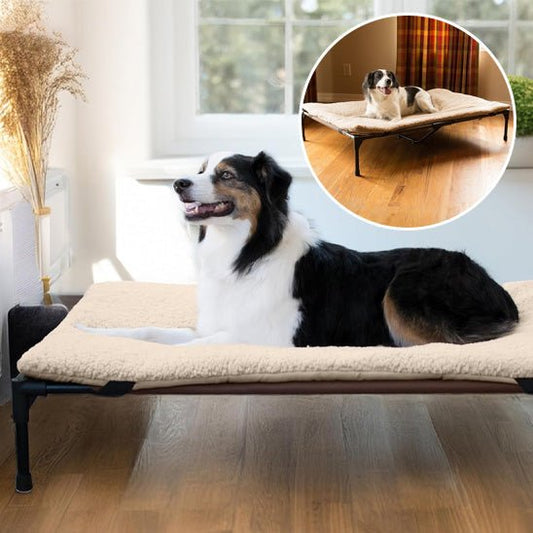 Lit Surélevé & Pliable – pour Chien | Respirant, Lavable, Nomade - Noble Truffe