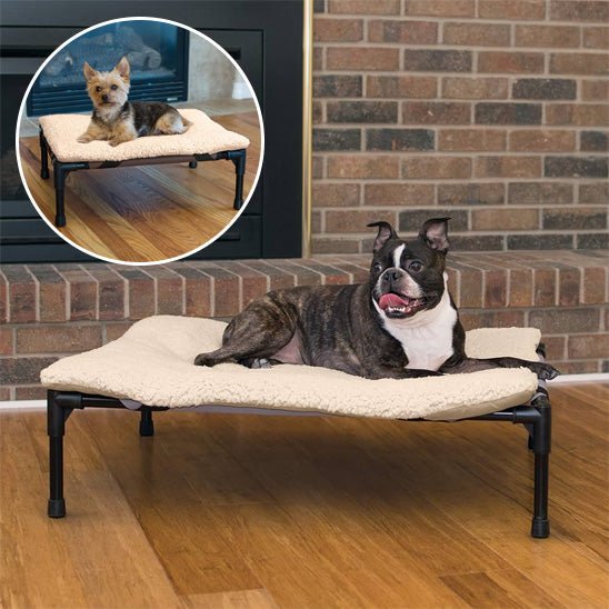 Lit Surélevé & Pliable – pour Chien | Respirant, Lavable, Nomade - Noble Truffe